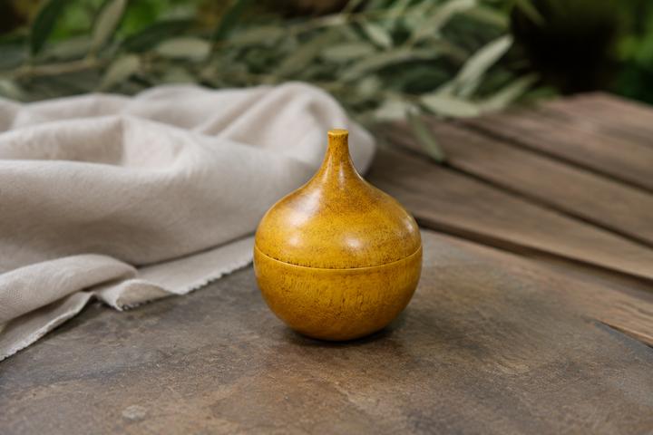 Closed Bulb: Mimosa on a dry shaded outdoor table with soft greenery in the background.